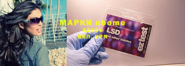бошки Алексин