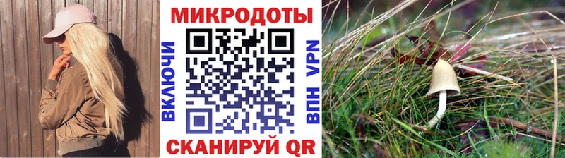 Галлюциногенные грибы Psilocybine cubensis  darknet какой сайт  Кимры 